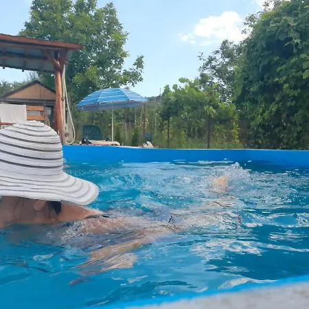Guest house La Espanola Hateg