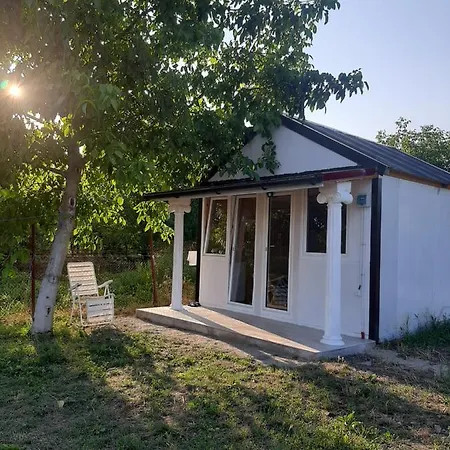 Guest house La Espanola 3*