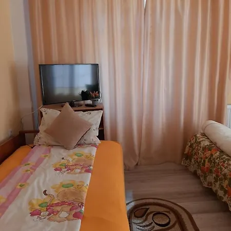 Guest house La Espanola Hateg
